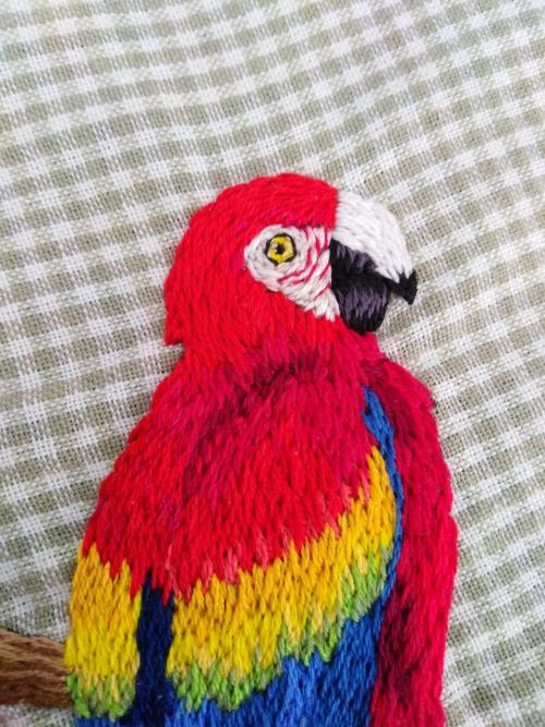Hand-embroidered Rainbow Macawig: @beebordandoetsy: beebordandoDon’r remove caption