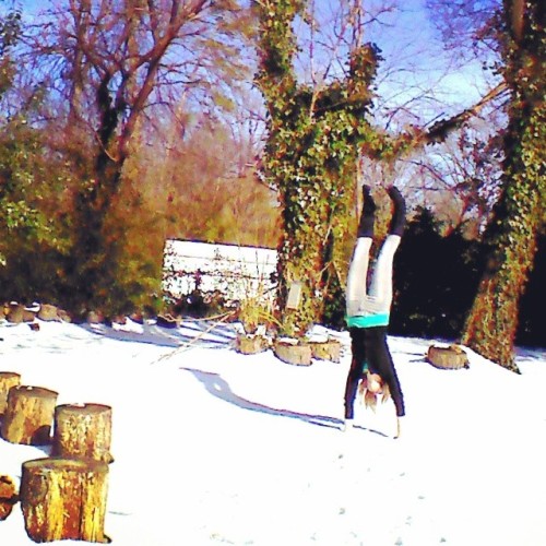 mygardenlife:#Handstandlove day 14 The snow is melting :(#snowga #snowday #yoga #yogaeverwhere #yoga