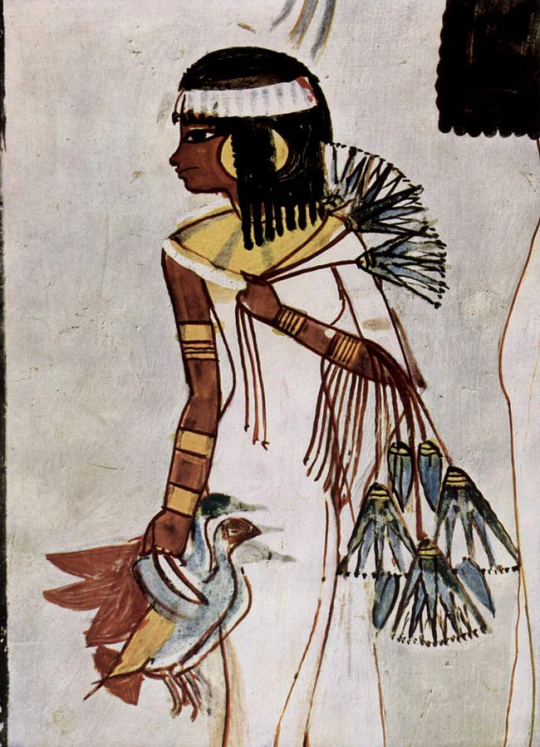 ikchen: Girl holding wild birds, from the tomb of Menna TT69. Only wealthy households could afford livestock, be it cows or goats, but there was another way of getting animal protein: Fowling.  Initially it was done by throwing sticks at flying birds,