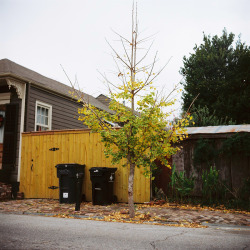 mariadanielaquiros:  Bywater. Analog Photo Journal - New Orleans, LA 2014.
