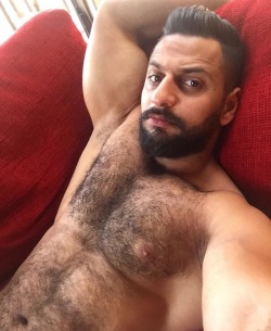 arabfitnessgods:  Furry Lebanese Daddy Mohammad