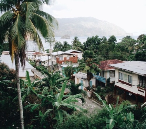 trinbagoculture: Charlotteville. Tobago.