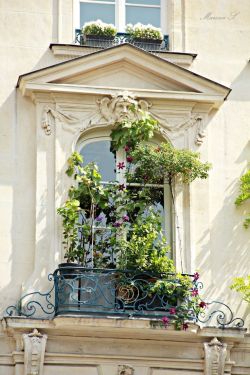 lilyadoreparis:  Un balcon à Paris. Paris