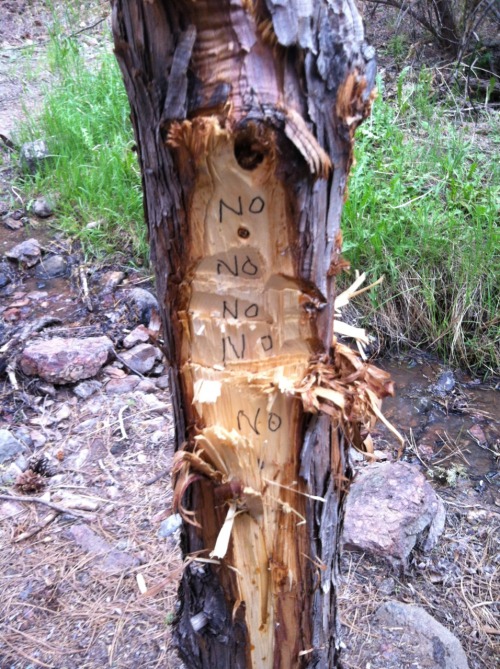 nymphobia:  whoever made this graffiti gets me 