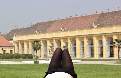 Vienna Calling