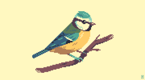 scrixels:1269. Blue Tit