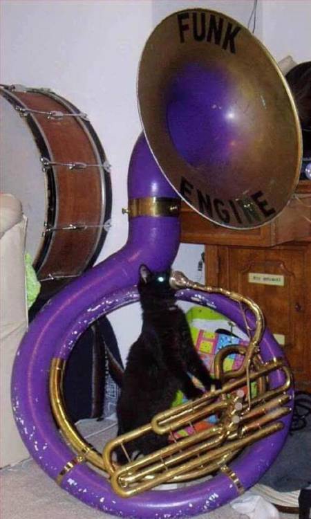 this-isnotmy-cat:Make way for the Funk Engine.