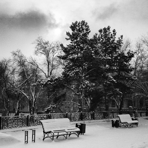 Have a seat #bw #monochrome #bench #trees #Magnitogorsk #MGN #snow #chellynow #realural #gorod174 #U