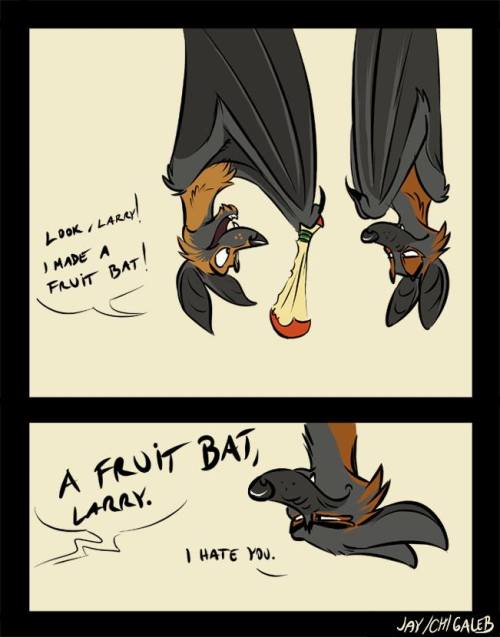 larry-the-tiger: psychoticrambling: icoffinbanger: Hehe :3 [source] HEY I AM A TIGER NOT A BAT 