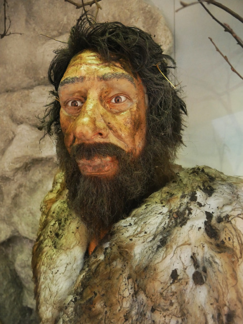 Neanderthal and Stone Age mannequins and reconstructed Bronze Age burial, The Museum of East Riding,