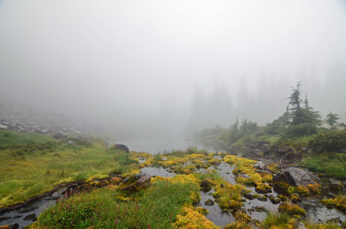 90377: Chain Lakes - Mt Baker by Melissa Ferrell