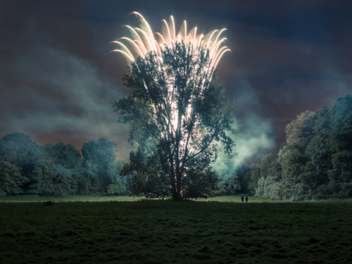 mpdrolet:  Harry, Bryan and Central Poplars. Smoke and 130 ft Mine, 2012 Harry Cory Wright