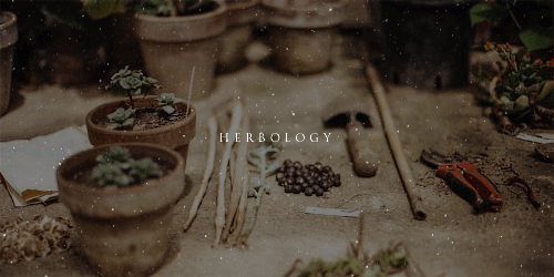 aly-naith:falling seriesHarry Potter - Hogwarts School Subjects (part II)part I