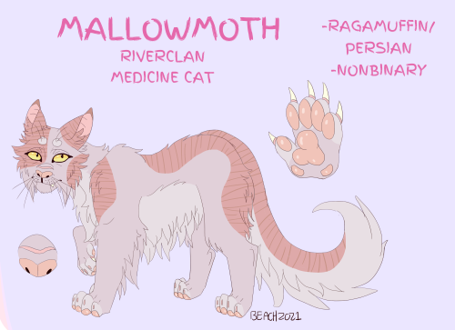 updated my main 3 warrior cat ocs!!![do not repost or copy thank you]