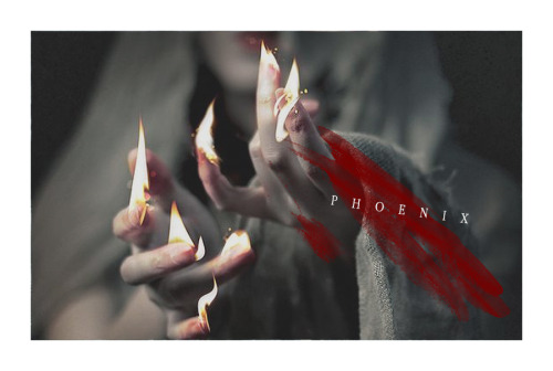 library-mermaid-blog: Hogwarts Houses &amp; Creatures » GRYFFINDOR : Phoenix» S