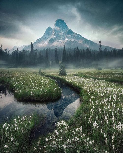 amazinglybeautifulphotography:Illusion has emerged between the hills and the trees, Liberty Bell Maintain, Washington, U