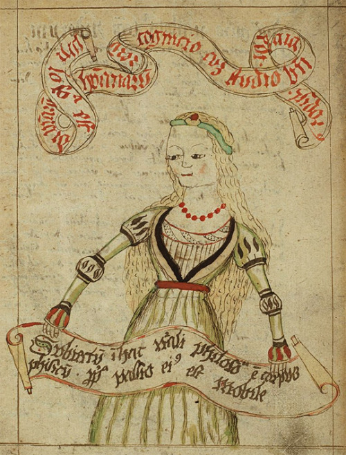 This very fancy lady welcomes you to the festival of natural philosophy that is this codex. An outfi