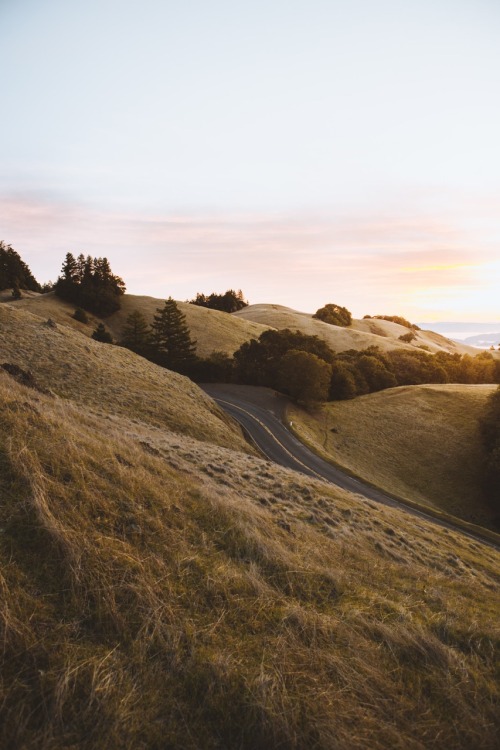 logannbryan - Mt Tam, San Francisco