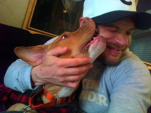 wtfzurtopic: Tom Hardy loves every dog. 