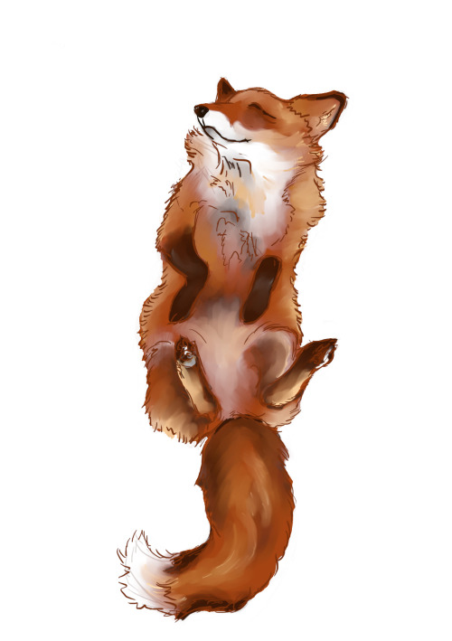 A wild Sheev!Fox has appeared! A fox doodle I did for WagIzhen. :) 