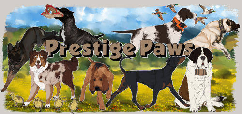 Concept Art For A Darpg/dog Sim Browser Game.