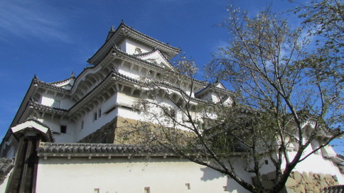 Some pics of the Himeji castle. I went there last Friday with my friends, it was super nice. Most ca