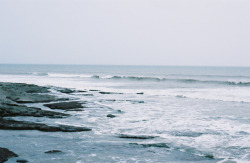 arcipelago:  The Pacific (by Dottie B.) 