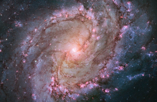 bobbycaputo:  The Hubble Flickr Stream Is The Most Stunning Thing You’ll See All Week