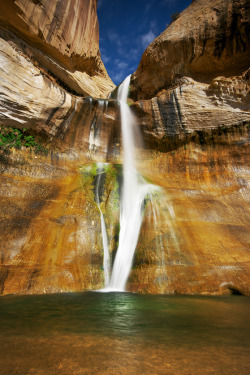 oecologia:  Lower Calf Creek Falls (Utah) by parkflavor. 