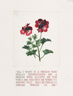  Yuyuka Week [Day #4] » Quote  