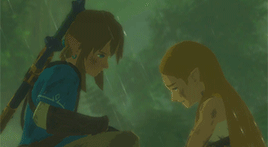 castaform:Zelda - Breath of the wild Coming porn pictures