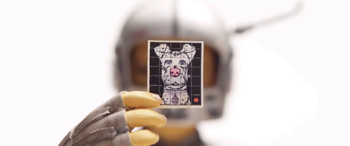 Isle of Dogs (2018)Director: Wes AndersonDOP: Tristan Oliver
