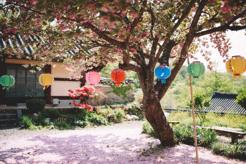 Seonam Temple  