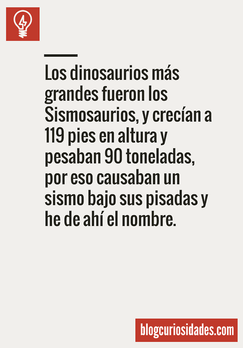 Descubre muchísimas más curiosidades:
Síguenos en twitter:
twitter.com/Bcuriosidad