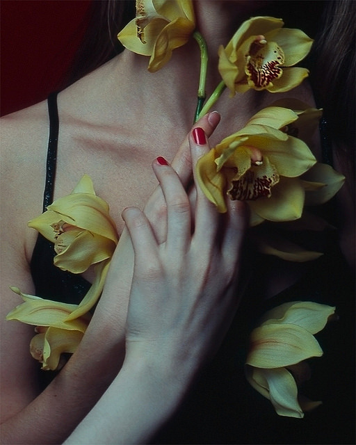 fox-corner:  untitled by Elizaveta Musienko on Flickr.