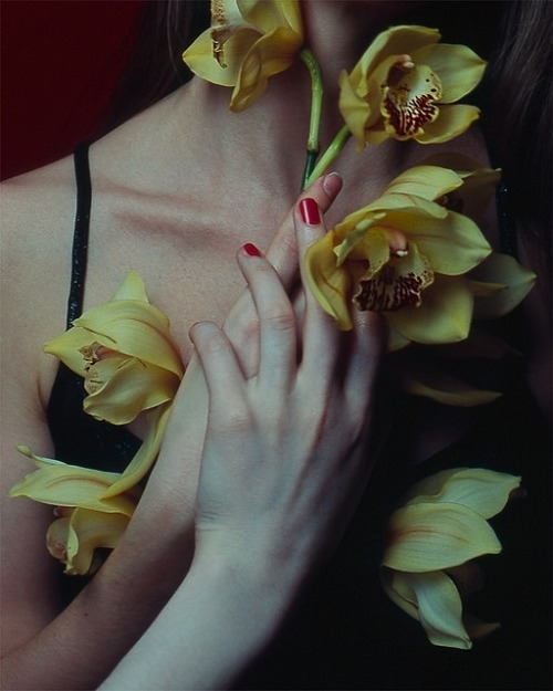 fox-corner:  untitled by Elizaveta Musienko on Flickr.