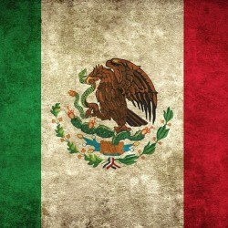 boxinghype:  #vivamexico #boxing