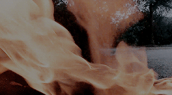 peletiersdixon:  That’s what it’s like out there? How do you just live knowing