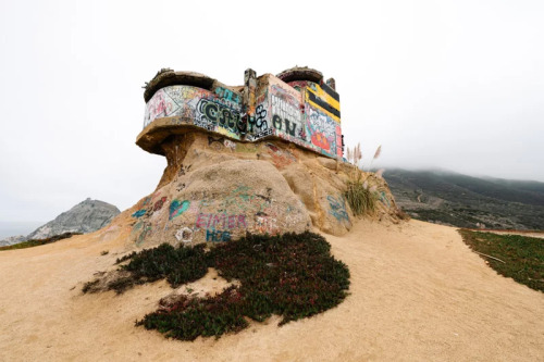 Gimme Shelter, Architectural Afterlife