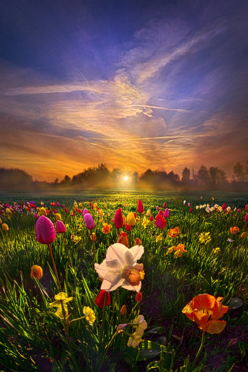 floralls:Wisconsin Horizons by Phil Koch