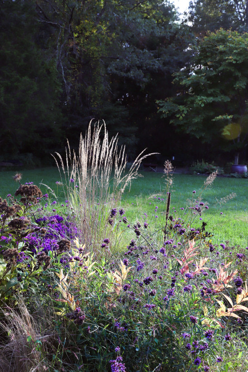 gardenmuse