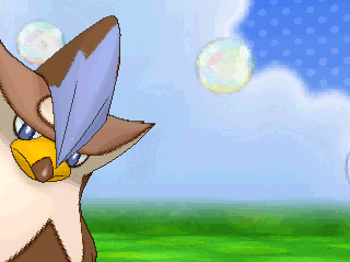 Pokemon Amie - Shiny Staraptor