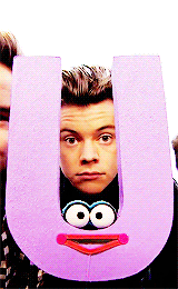 Sstyls:  X 