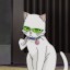 kay-is-online