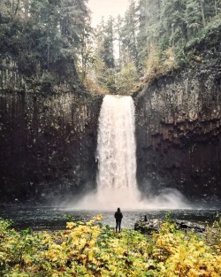 theoregonscout:Today at Abiqua.