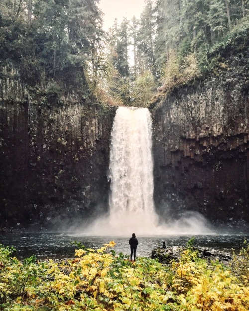 Today at Abiqua.