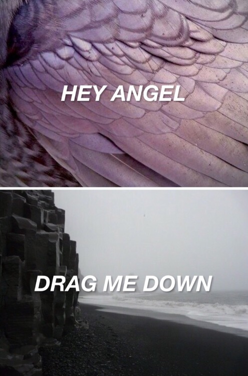 1dlyricsunshine: ;made in the a.m | thank you for 3k