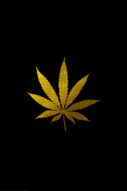  Gold Marijuana Leaf by illest 