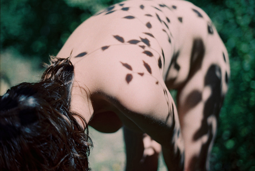 hellanne:  by Simon Jourdan
