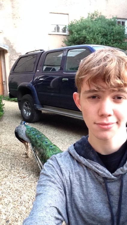 tsarbucks:  Katy perry told me to let her see it and now I have finally found a peacock for her